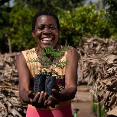 smiling woman holding up two tree seedlings 