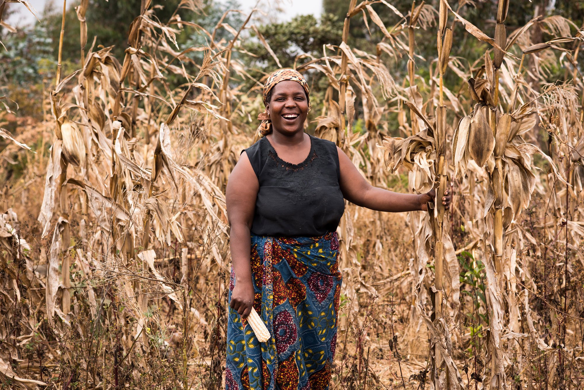 Photo Essay: Maize Harvest And Storage