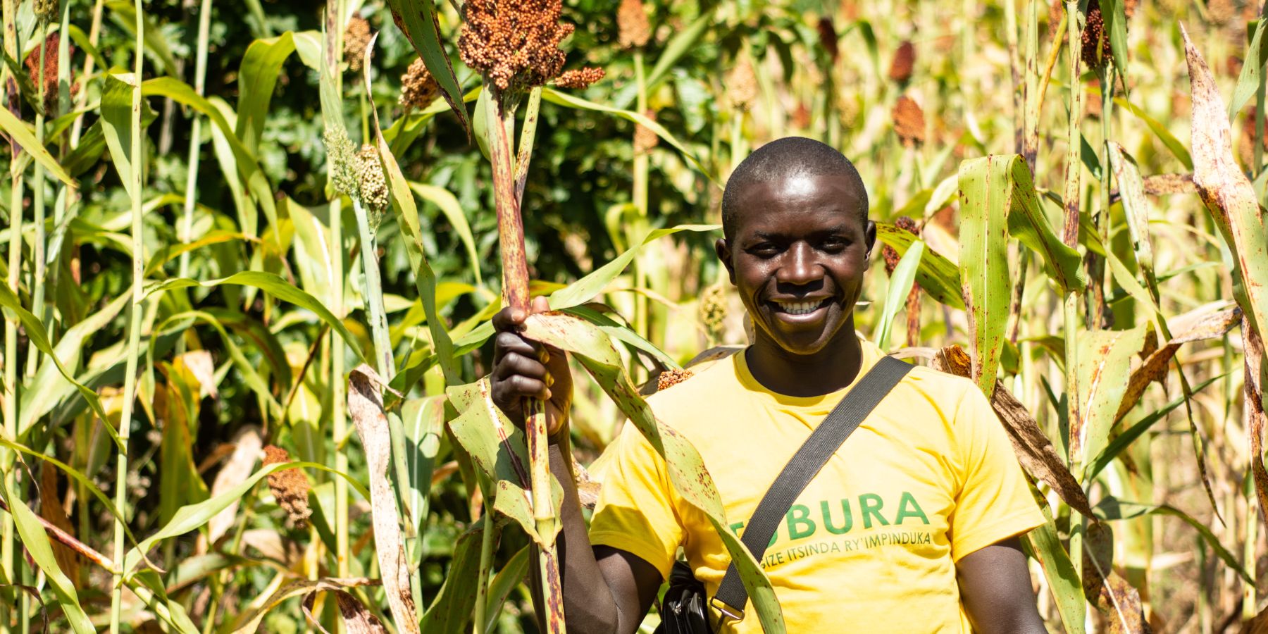A staff member in Rwanda stands in a farmer's field