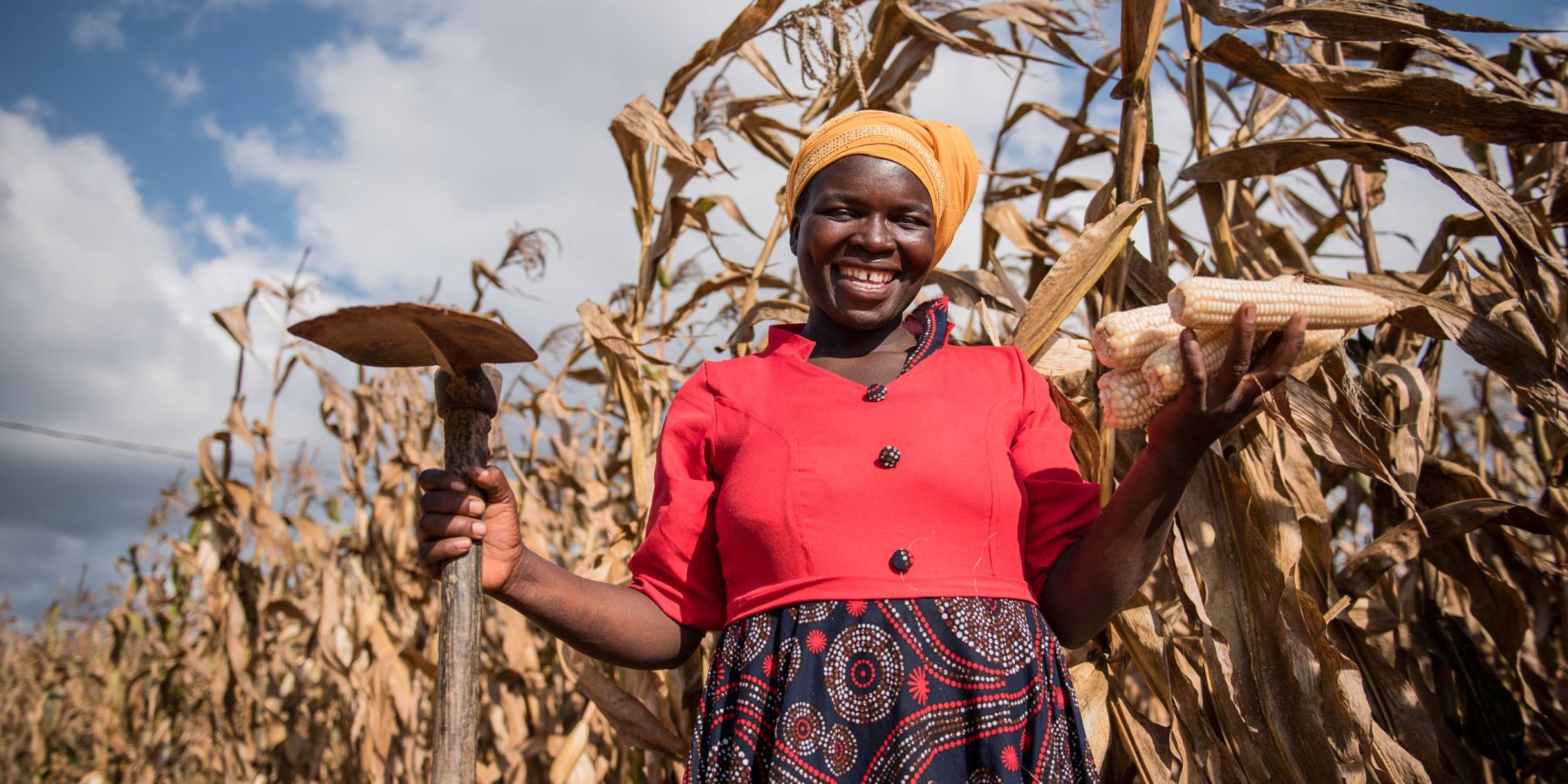 A woman farmer smiles as she poses in a field holding some cobs of corn