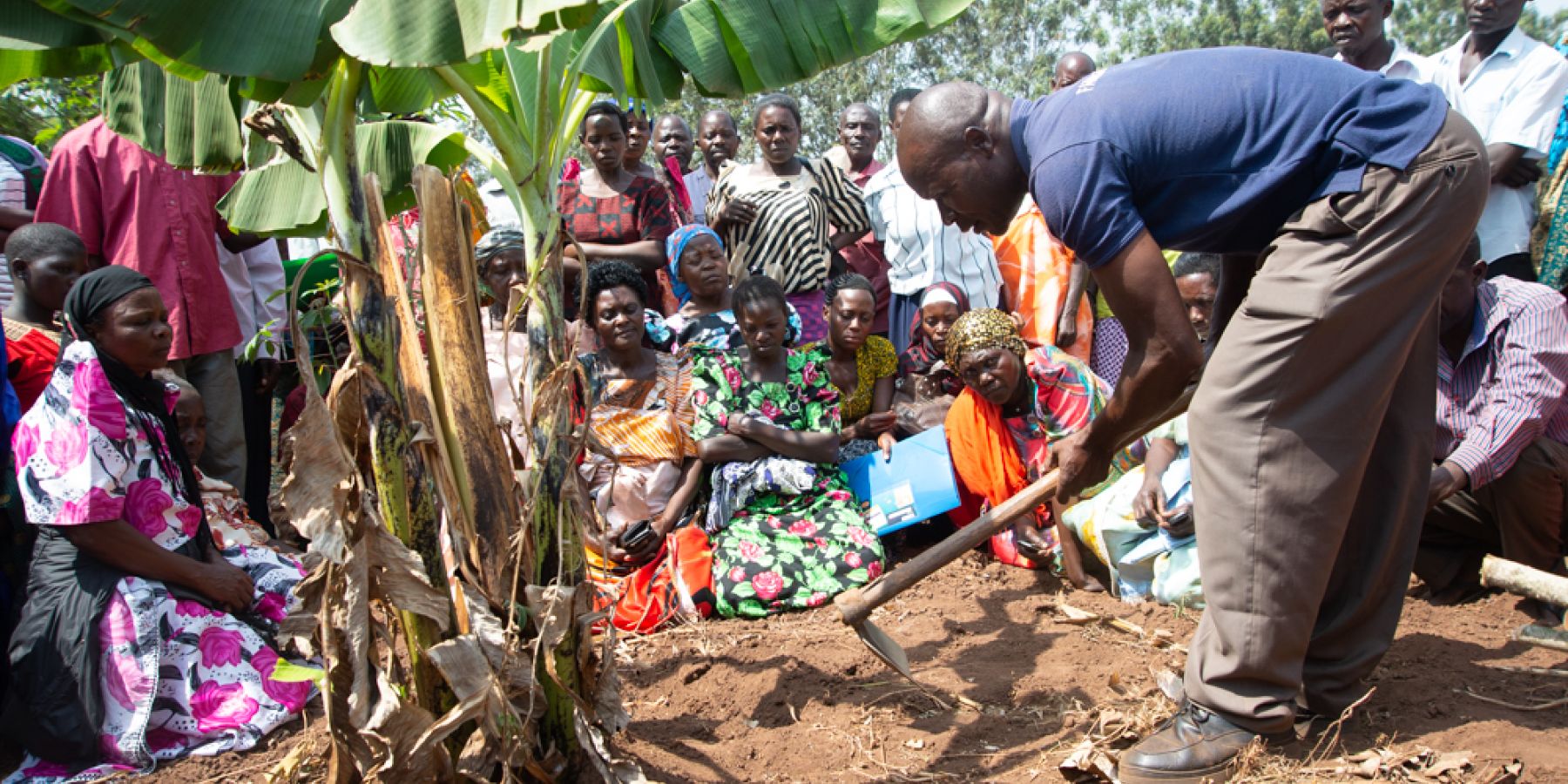 A field office in Kamuli District, Uganda, trains farmers on planting practices. 