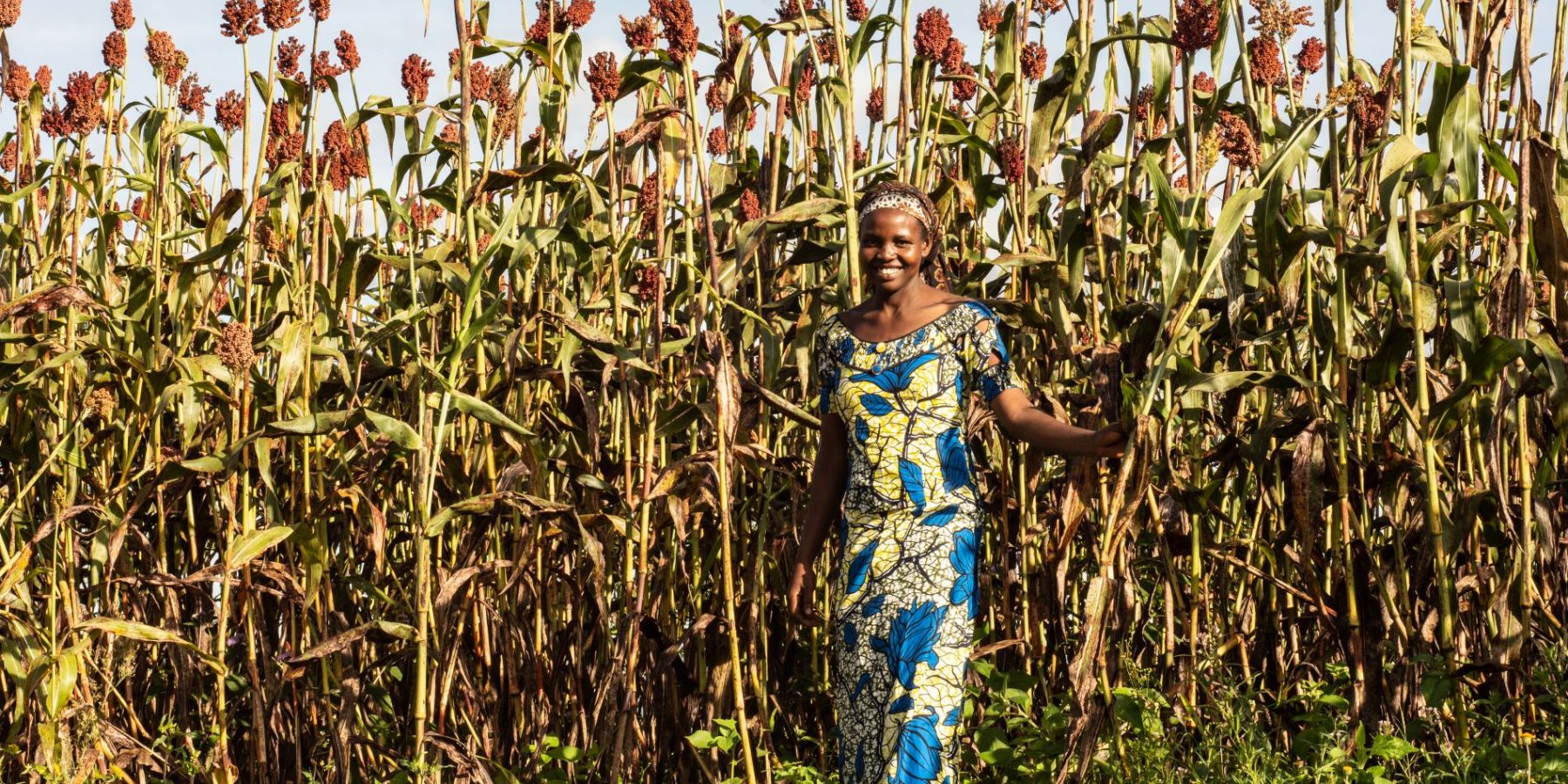 A smiling smallholder farmer stands in front of her field of tallgrowing sorghum