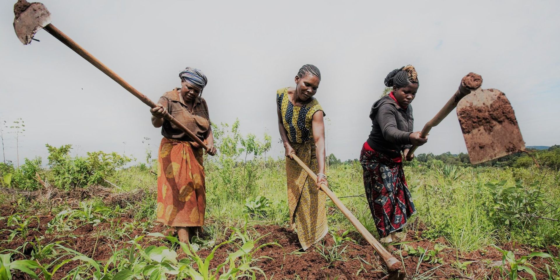 Three women farmers working their land