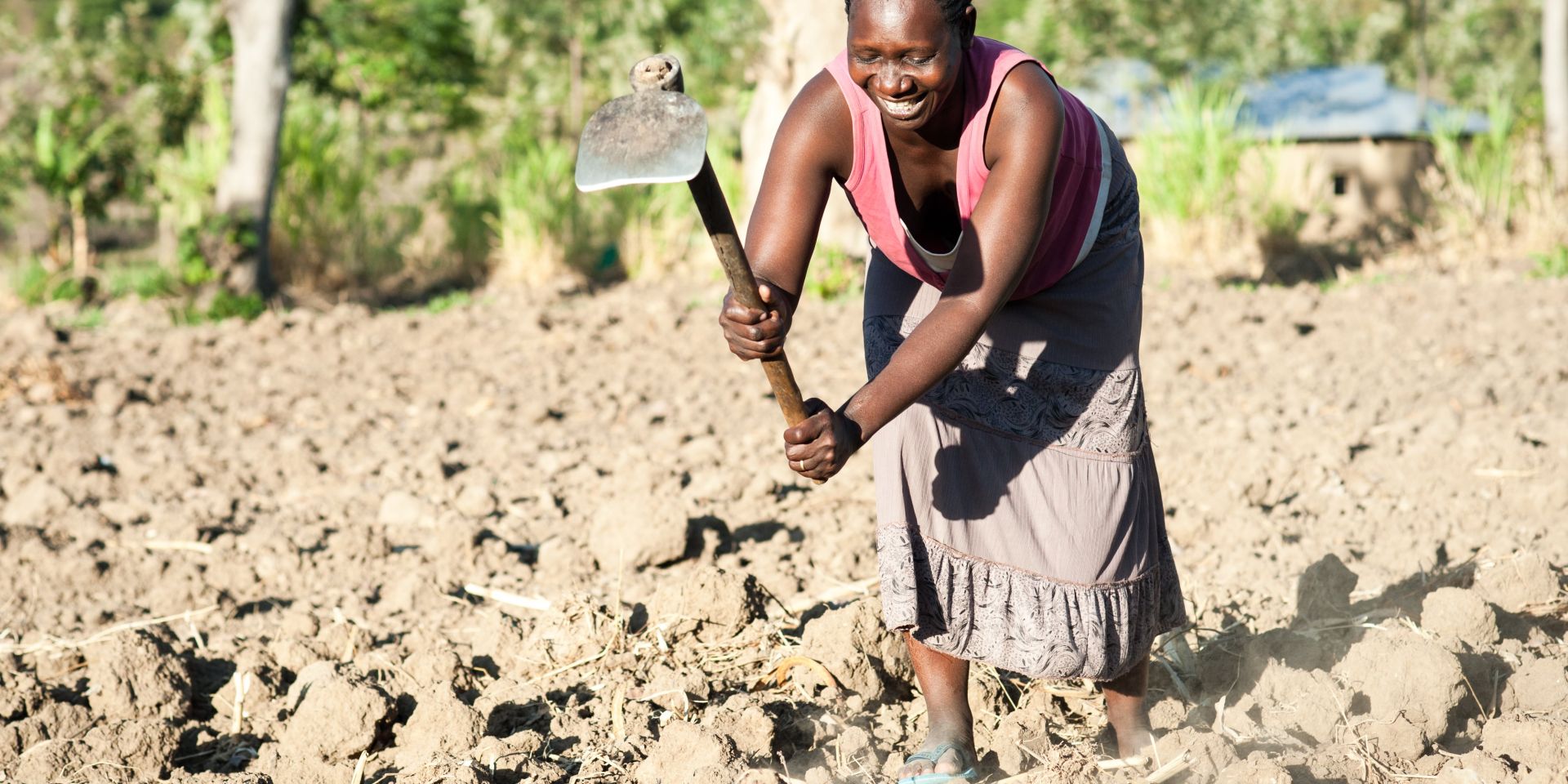 Stella Wanyama preparing her field