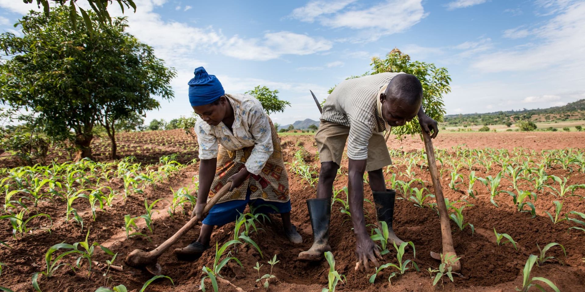 A husband and wife farming in Malawi