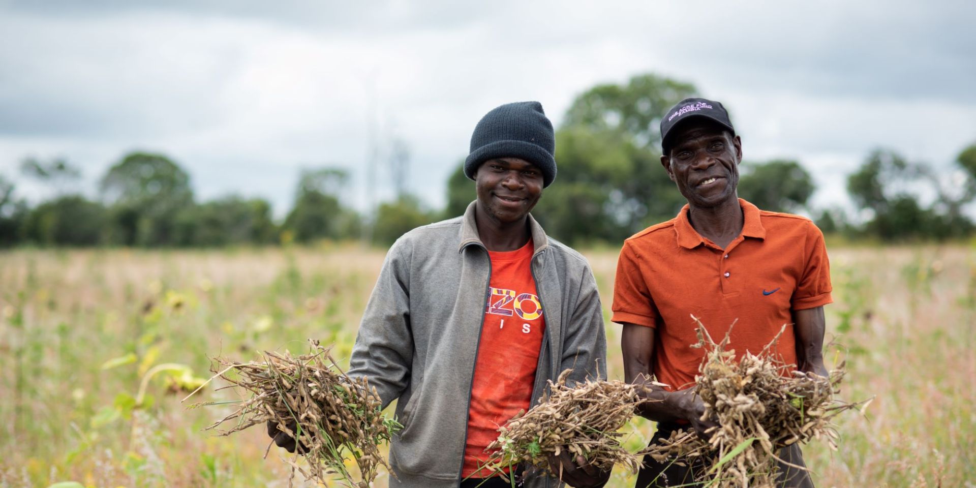 Smallholder farmer with his son standing in his field collecting groundnuts