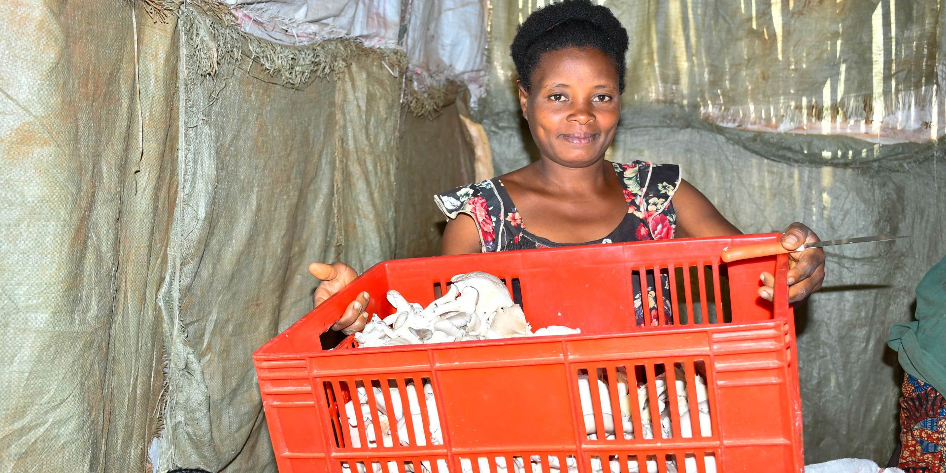 Jeanine is a mushroom farmer and a part of a mushroom farming cooperative.