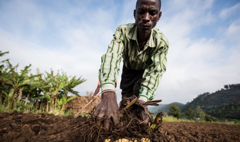 A farmer applying compost to his field