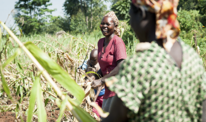 Women farmers working their field