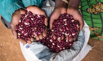 Beans in Burundi