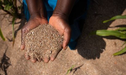 Person holding soil in their hands