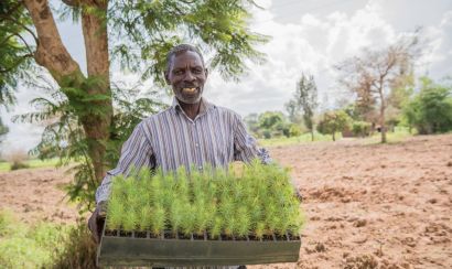 A farmer carries a crate filled with saplings