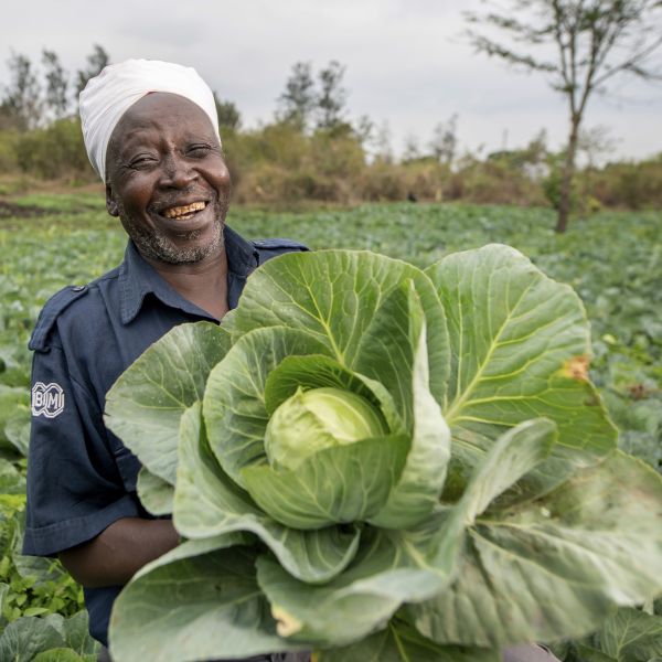 Patrick, a farmer, holds a huge cabbage from his harvest