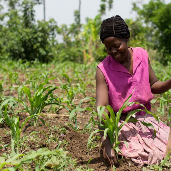 A maize farmer sits in her field in Uganda