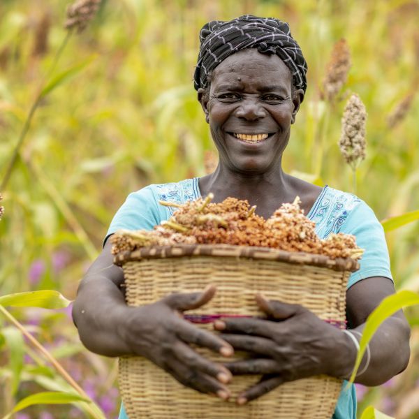 A female farmer stands holding a basket of sorghum