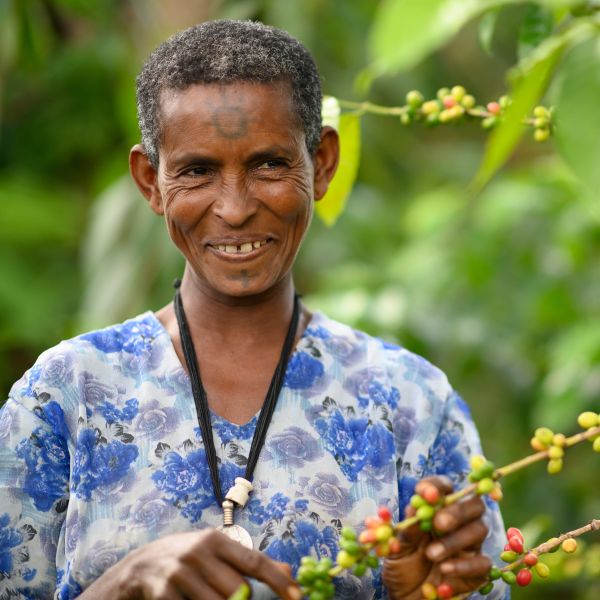 A coffee farmer in Ethiopia stands among her coffee bushes