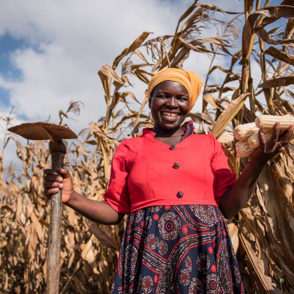 A woman farmer smiles as she poses in a field holding some cobs of corn