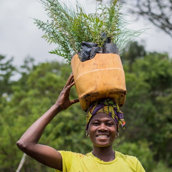 A Tanzanian farmer smiles at the camera with a basket of tree seedlings balanced on her head