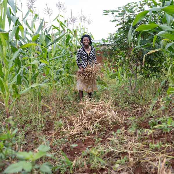 Alphonsine Musanabera is a 24-year-old farmer from Rwimbogo cell, Rwamagana district. She grows beans, maize, groundnuts,s and fruits. She has been farming with One Acre Fund since 2020. Since joining her harvest has increased and sold surplus hwich helped her invest in her shop business. She also baught a solar lamp from One Acre Fund, which is helping her to light her shop when it is dark.