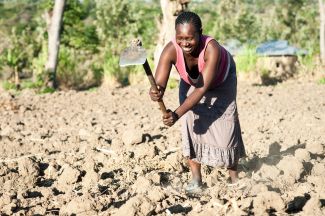 Stella Wanyama preparing her field