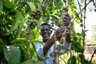 Ali Sserwadda Coffee Farmer