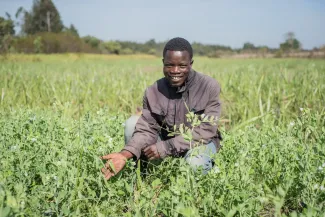 young person in a field showing their produce.