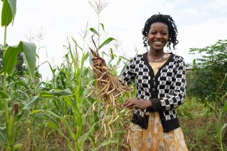 Alphonsine Musanabera is a 24-year-old farmer from Rwimbogo cell, Rwamagana district. She grows beans, maize, groundnuts,s and fruits. She has been farming with One Acre Fund since 2020. Since joining her harvest has increased and sold surplus hwich helped her invest in her shop business. She also baught a solar lamp from One Acre Fund, which is helping her to light her shop when it is dark.