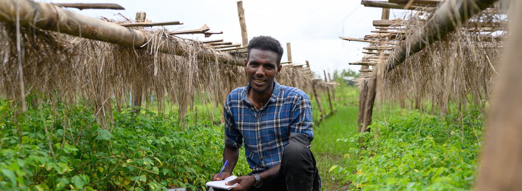 A tree nursery manager in Ethiopia crouches among the tree seedlings