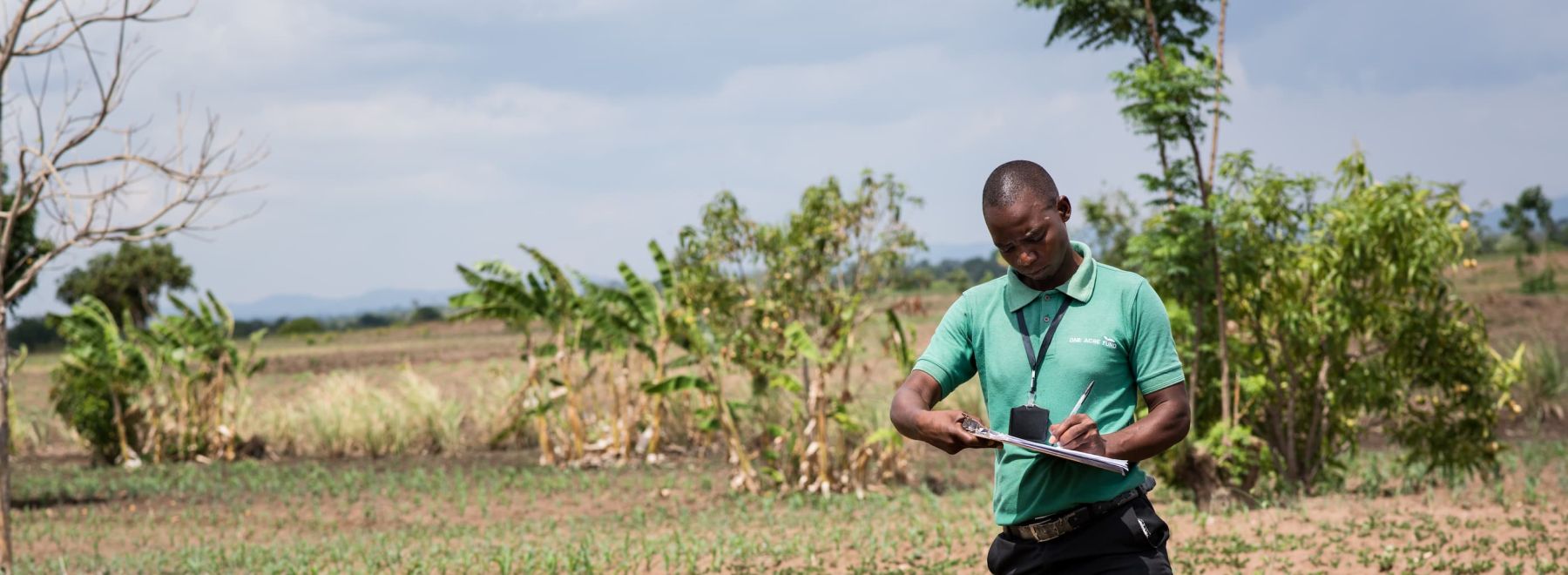 A One Acre Fund staff member reviewing seed performance in a farmer's field in Malawi