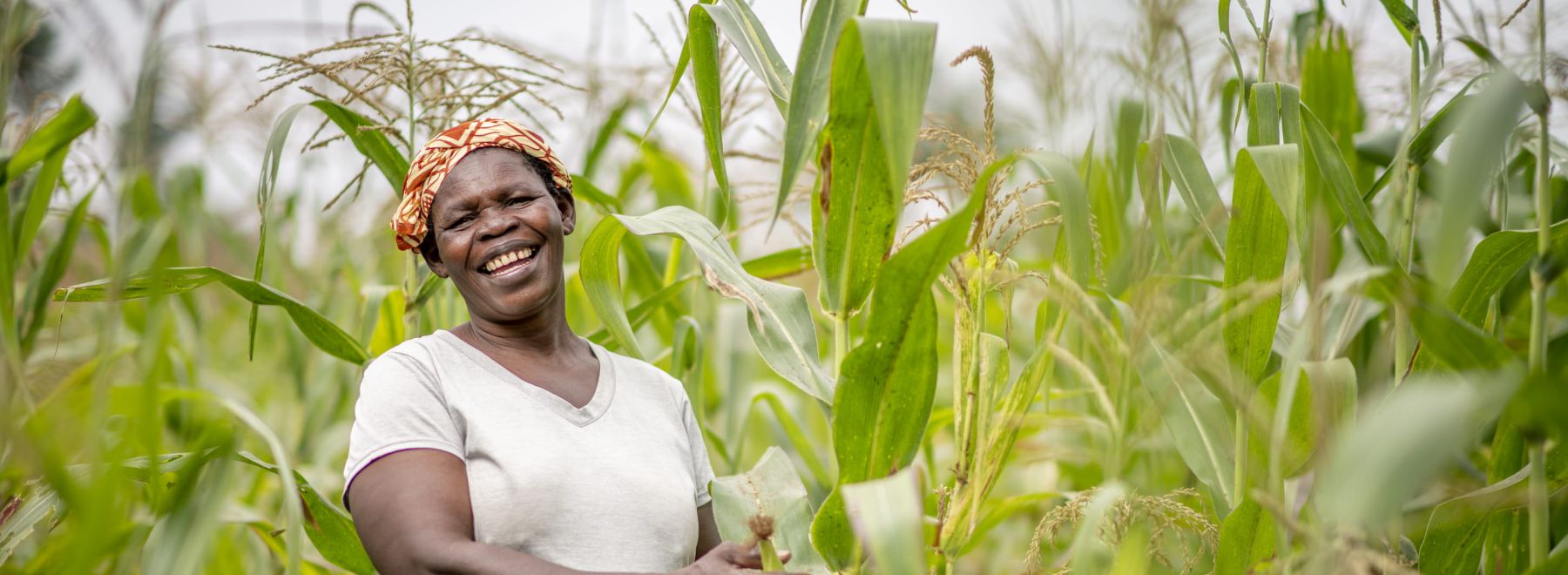 A farmer in Kenya stands in her maize field