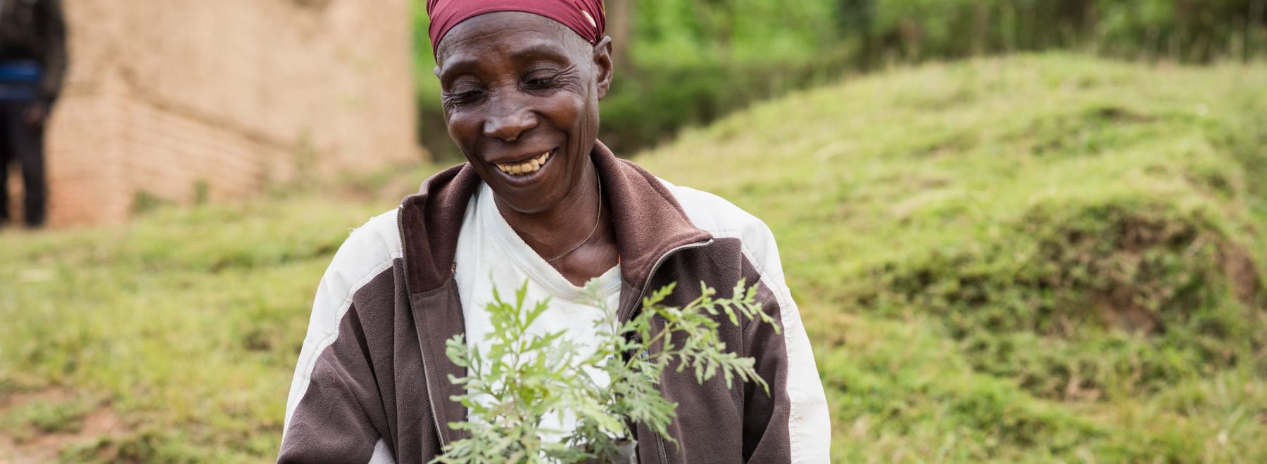 A farmer in Rwanda holding her new tree seedlings 