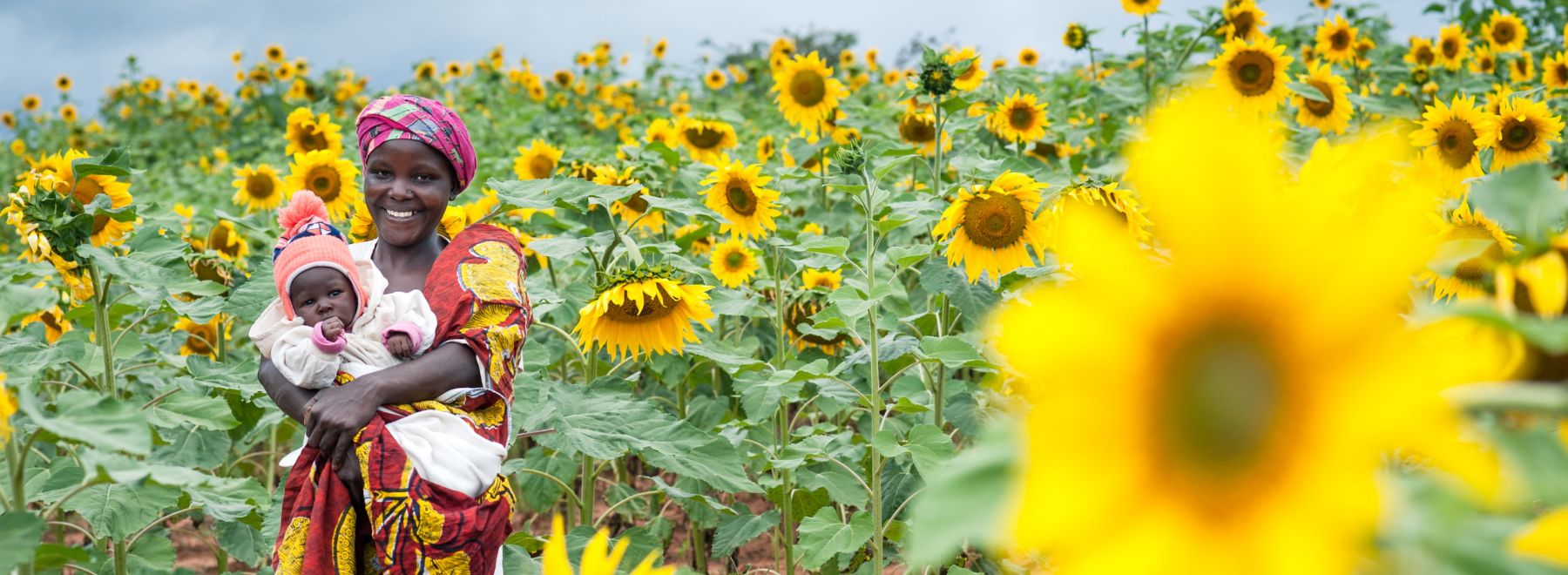 A farmer holds her baby in her field of sunflowers in Tanzania
