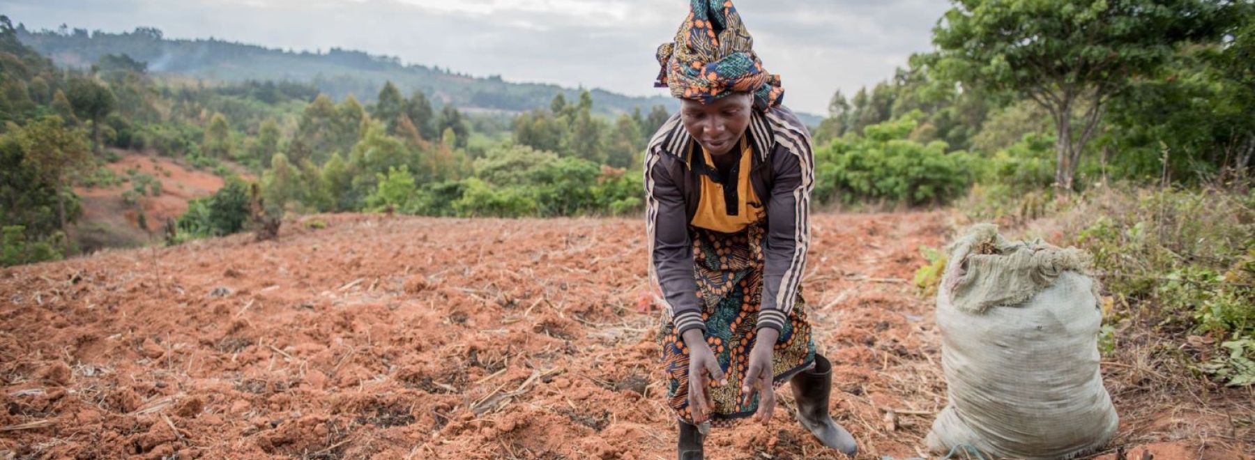 A woman smallholder farmer tends to her field 