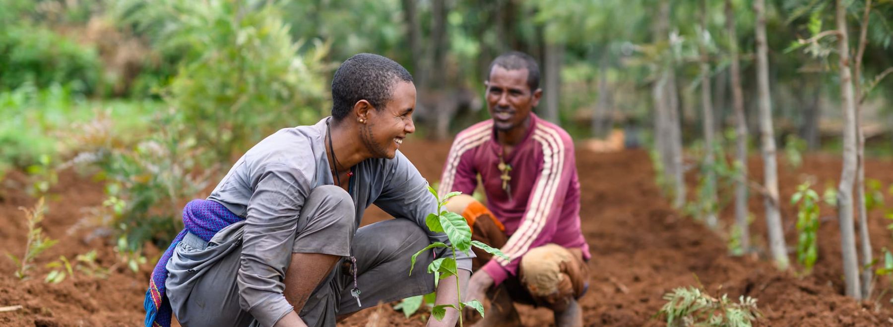 A farmer in Ethiopia smiles as she plants a tree seedling