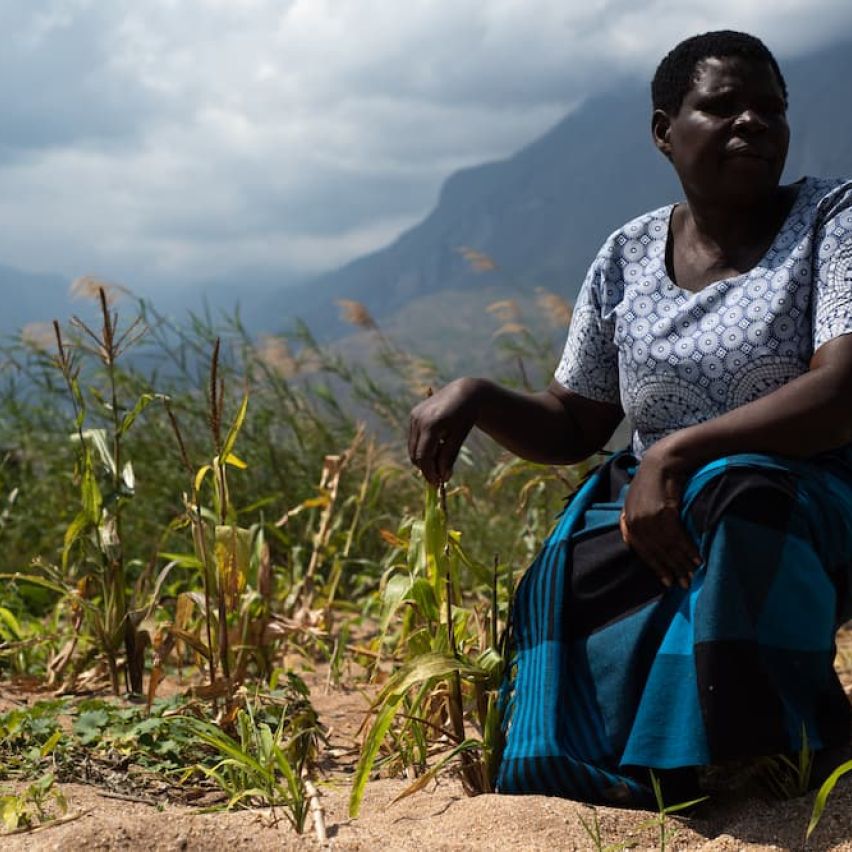Enife, a farmer in Malawi stands in field devastated by Cyclone Ana