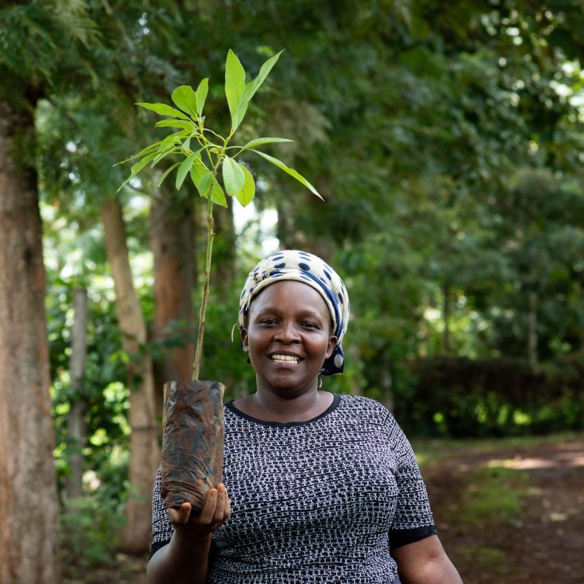 Esther, a Kenyan smallholder, smiles at the camera as she holds an avocado seedling