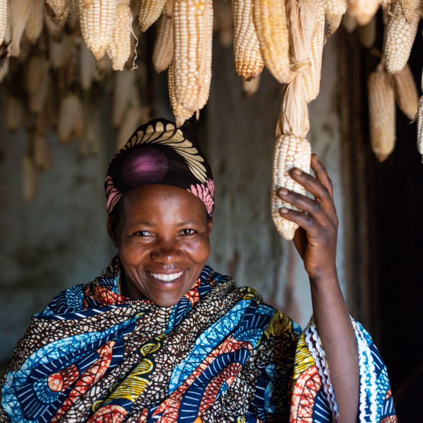 A picture of a smallholder farmer smiling and standing underneath maize drying from the roof. she is holding one cob of maize in her hand.