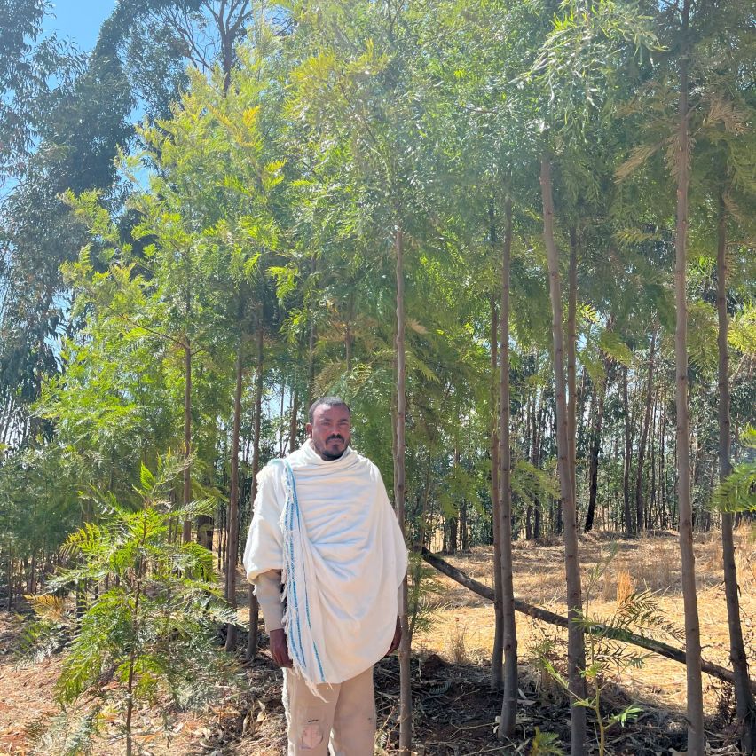 An Ethiopian farmer stands in front of the trees he is growing on his farm.