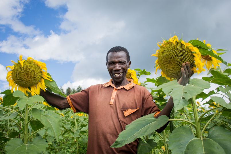 Tanzanian smallholder farmer, Ezekia Lyaumi is smiling and stands proudly in the middle of his sunflower field. 