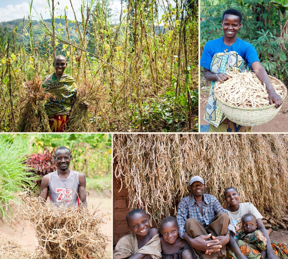 Farmers from Rwanda and Burundi smile with their climbing beans.