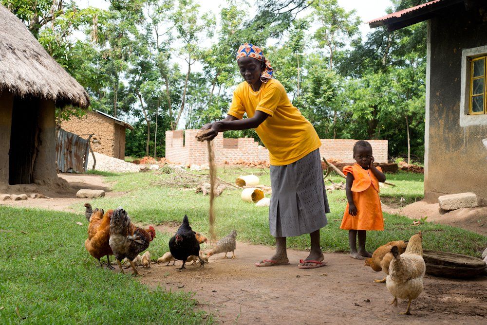 Woman farmer with child and chickens