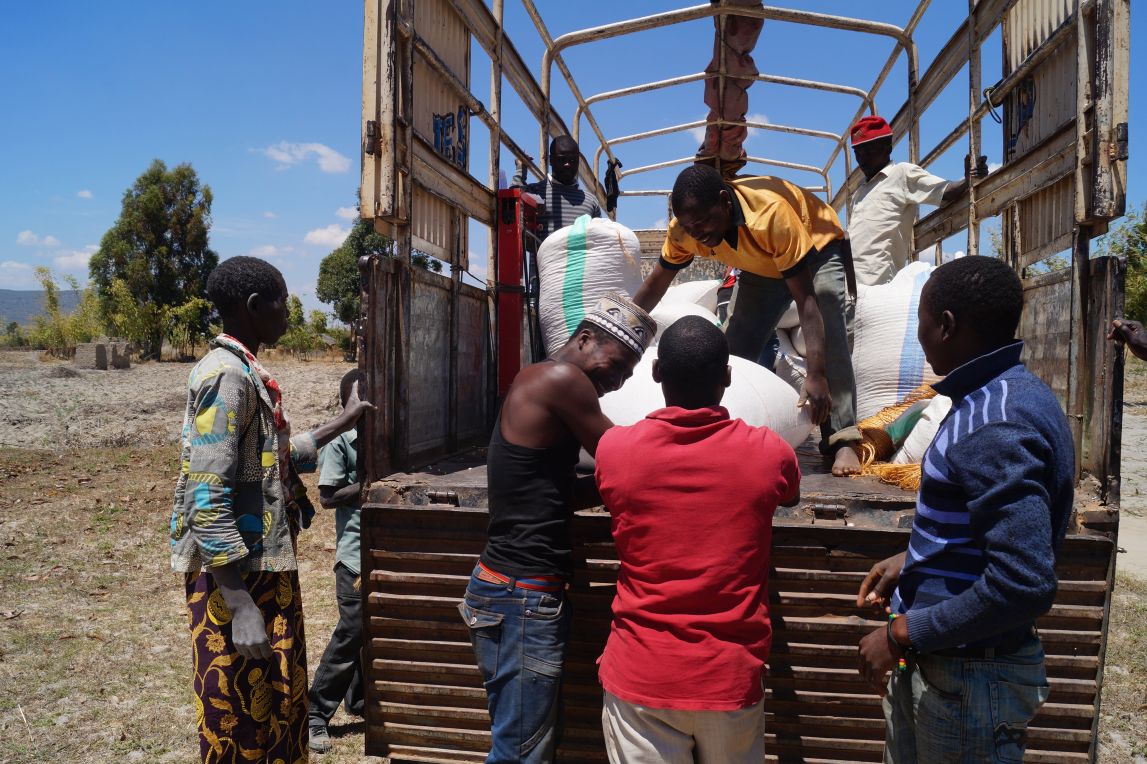 Germana watches on as bags of her maize are loaded onto a One Acre Fund truck.
