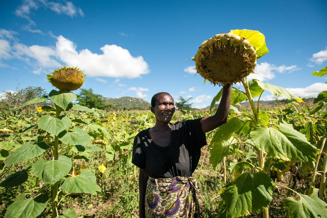 Fausta Landa shows off her sunflowers