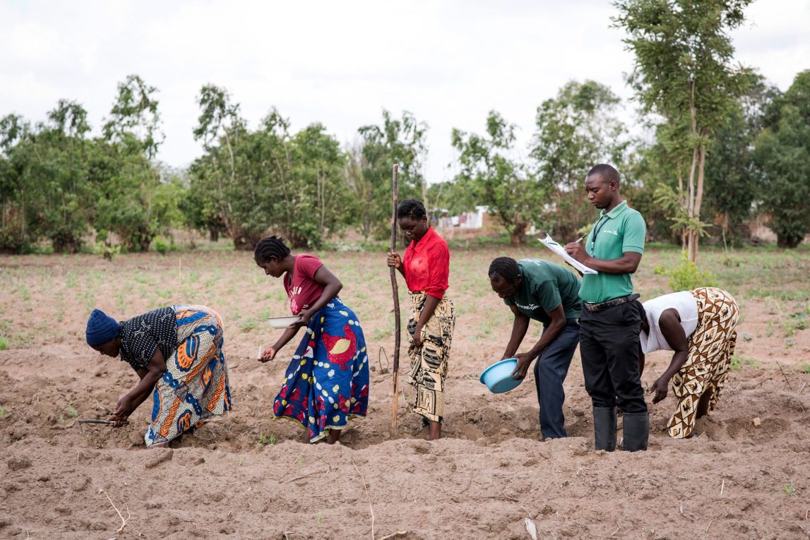 Mwaiwathu group practices planting techniques with their field officer | Malawi