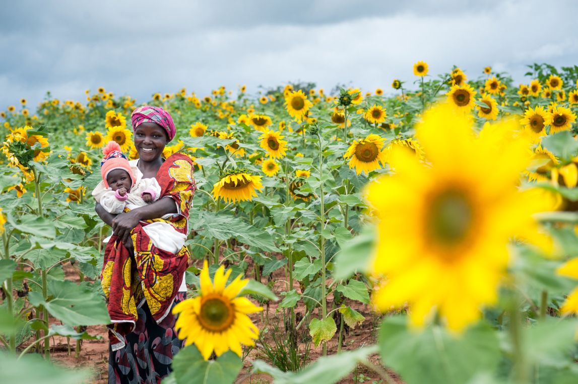 Maria Ngunda shows off her sunflowers