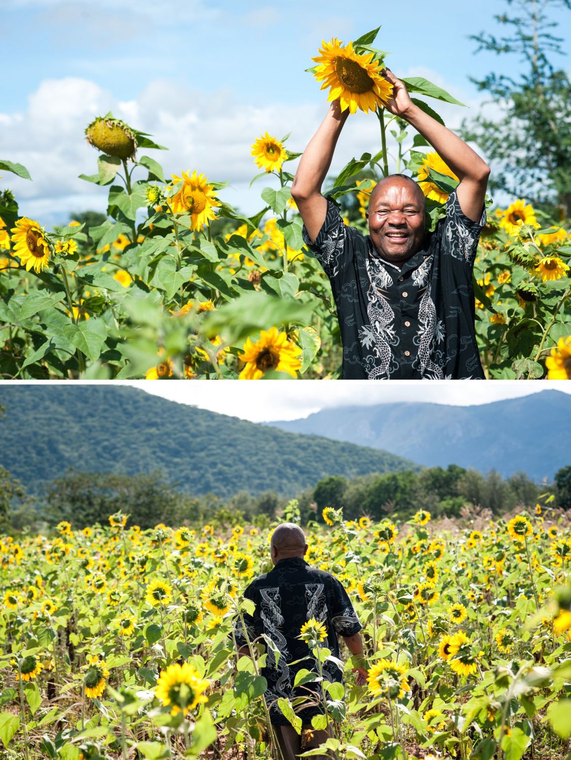 Peter Chadali shows off his sunflowers