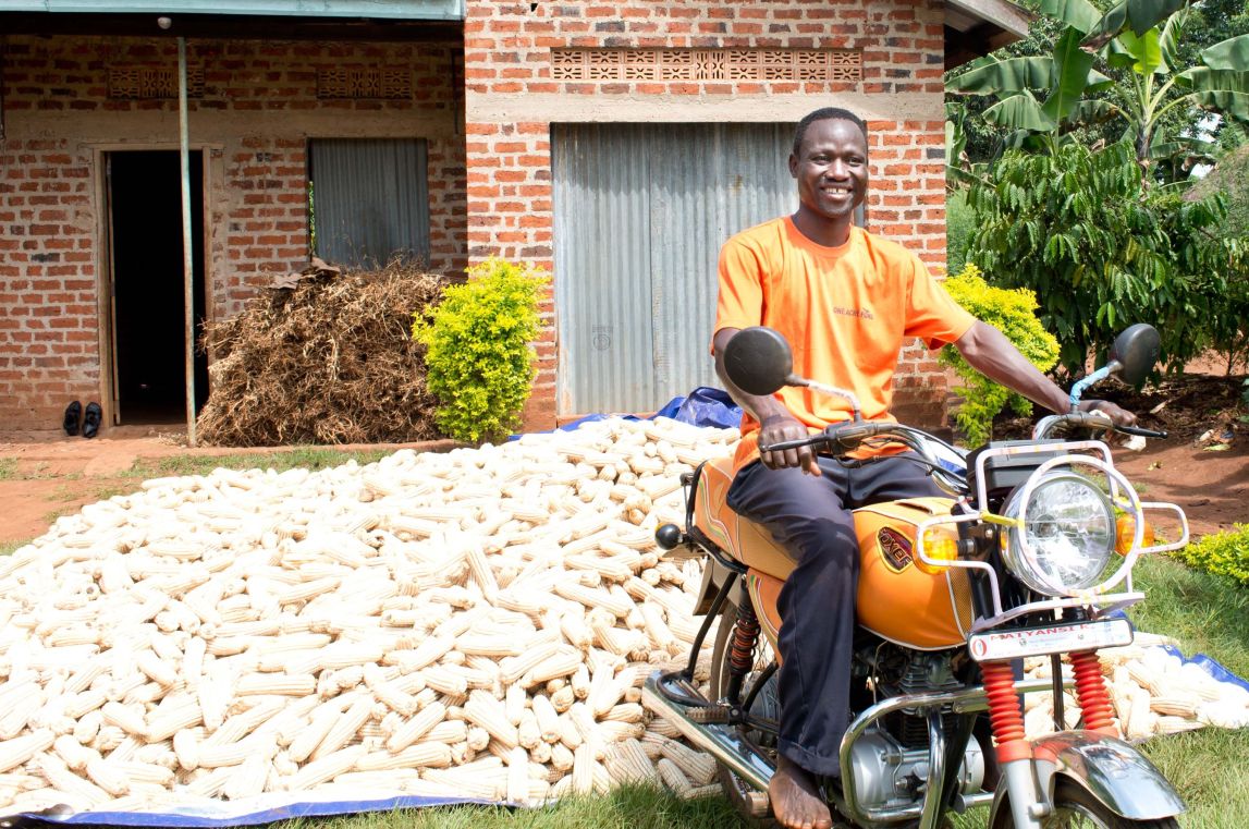 Farmer on his motorbike with cobs of maize in the background