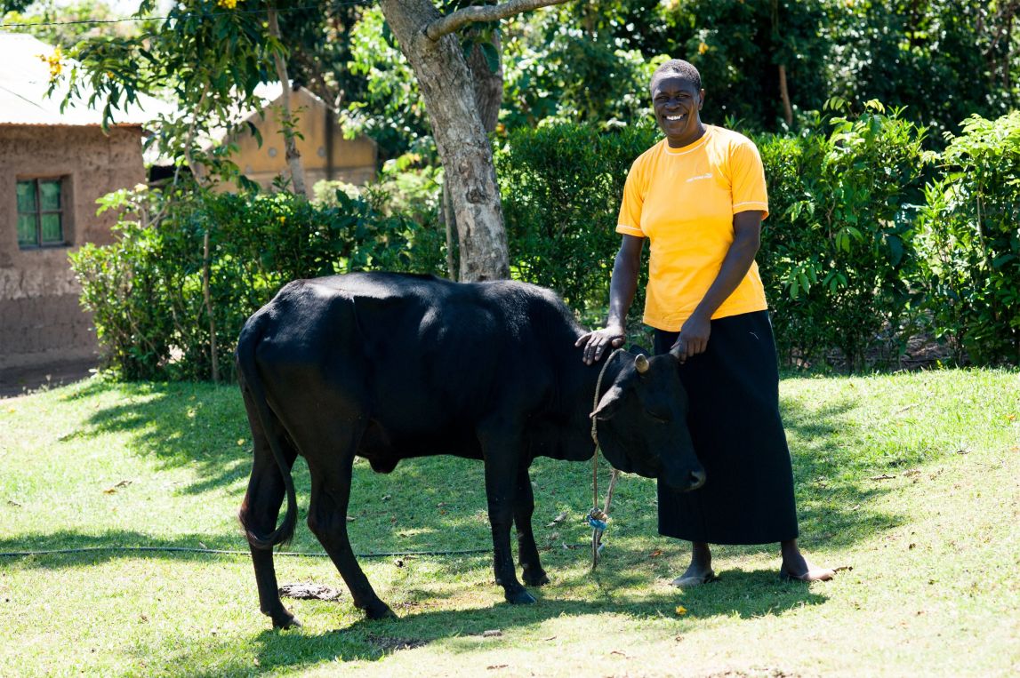 Phyllis Agoi with her dairy cow