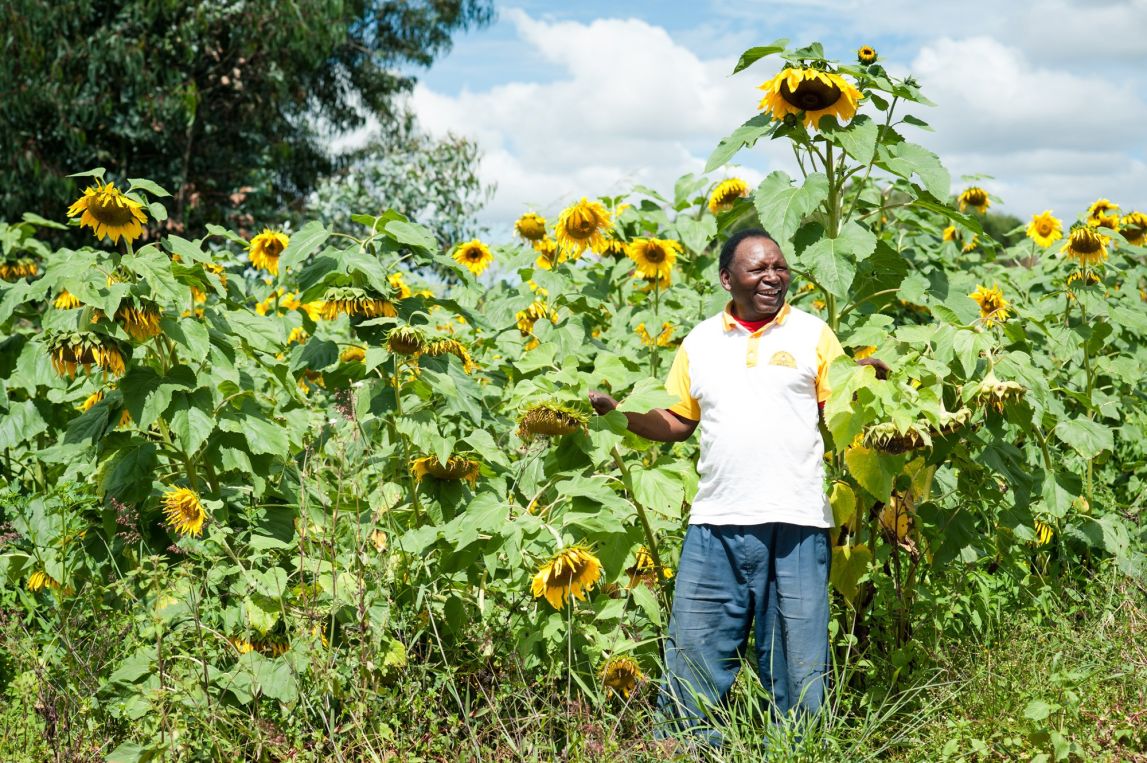William Duma shows off his sunflowers