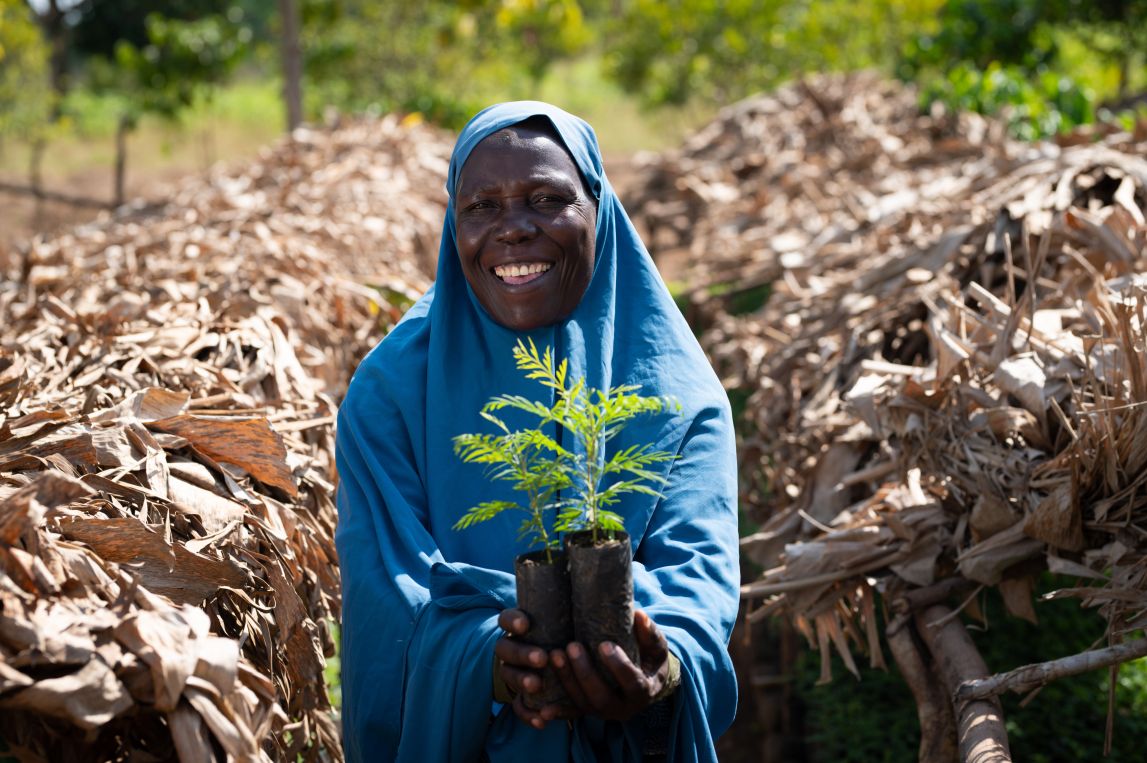 Tree planting in Uganda